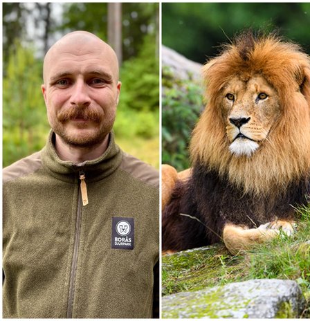 Dannebacken Service städar på Borås Djurpark