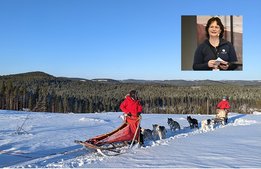 Framtidstro trots utmaningar inom naturturismen
