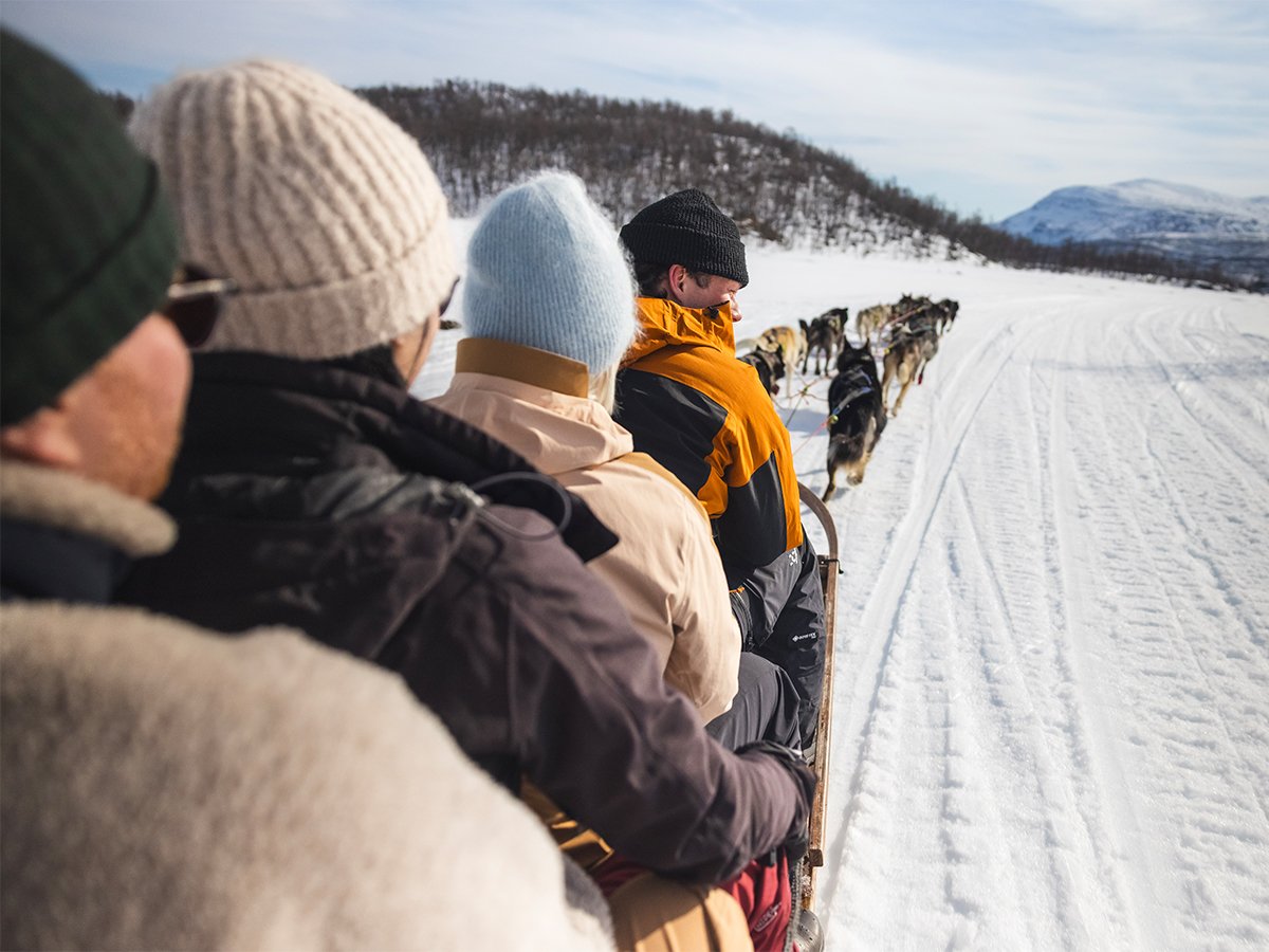 en grupp p&aring; hundpsannstur p&aring; ett soligt Tornetr&auml;sk