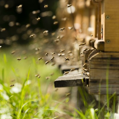 Agio får utökat förtroende hos Region Norrbotten