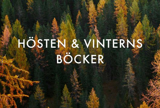 Max Ström Hösten & Vinterns böcker 2025–2026