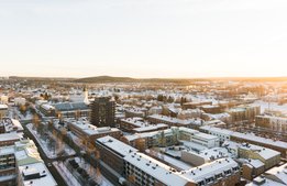 Holländsk charter ger jubel i Skellefteå