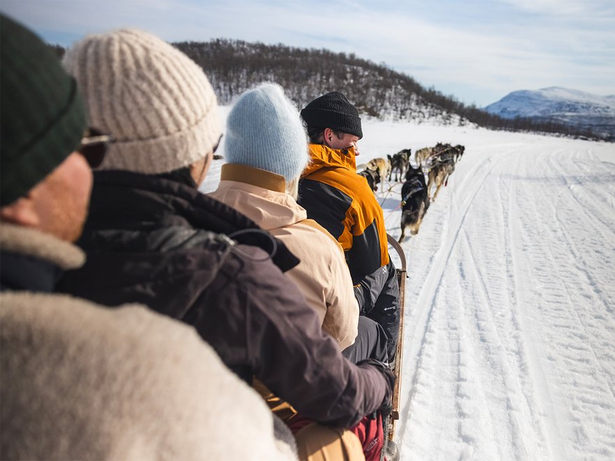 en grupp p&aring; hundpsannstur p&aring; ett soligt Tornetr&auml;sk
