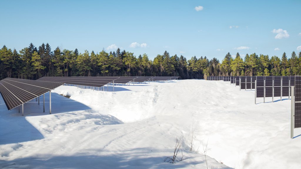 Åkerbäret_5
