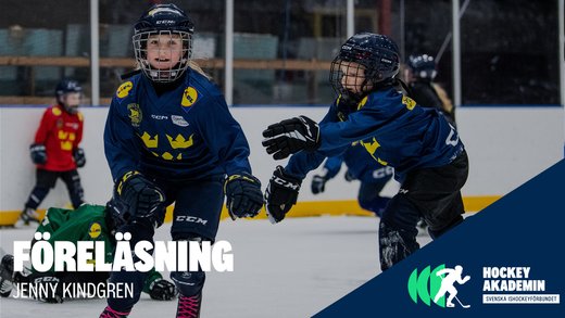 Föreläsning inom NPF