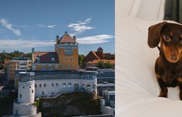 Villa Foresta först i Sverige med hundspa