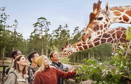 Kolmården erbjuder årskort till halva priset