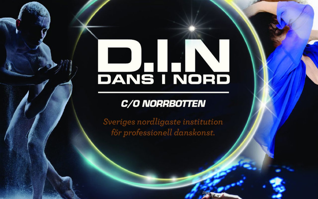 DINGenerellLogga1171-1024x1024