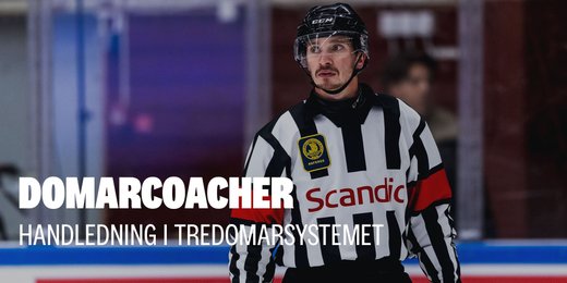 3DS: Handledning för domarcoacher