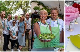 Stark vecka i Almedalen för Visita