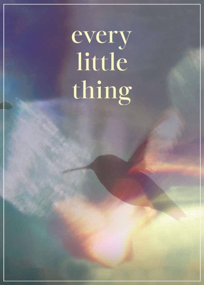 Every Little Thing