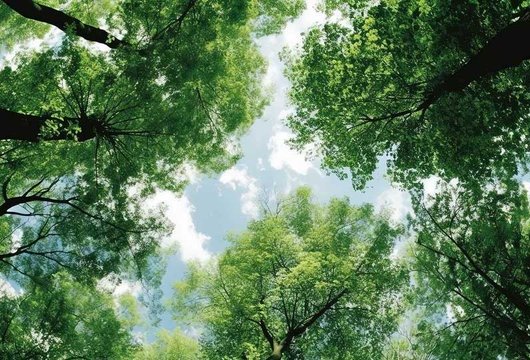 Max Str&ouml;m sommarens b&ouml;cker 2026