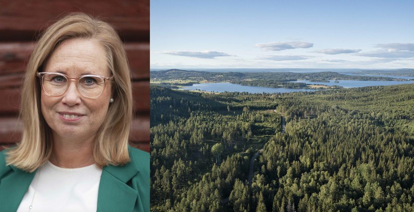 Chatarina Eriksson, vd för Visit Dalarna. Foto: Anna Holm/Visit Dalarna