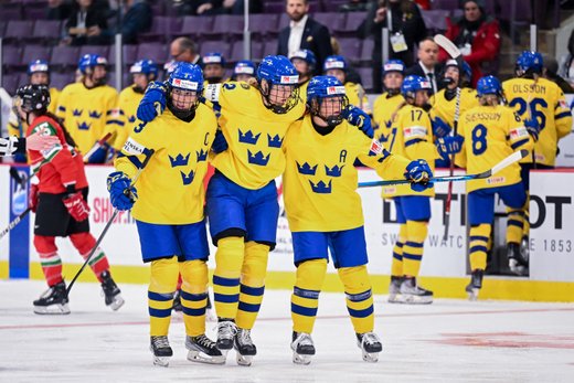 Mjukdelsskador