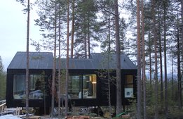 Unika trädhotellet växer – bygger nytt lyxrum
