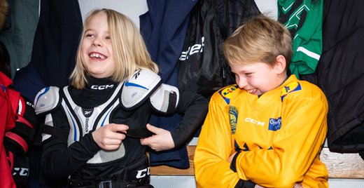 Vad är det som gör ishockeyn rolig?