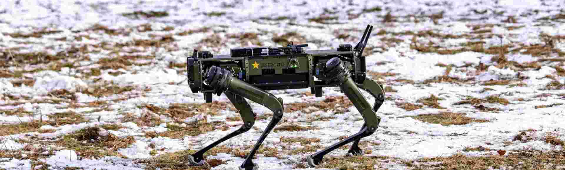 An Italian drone dog moves across the field during NATO exercise Steadfast Dart 26.