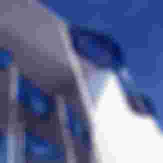 European Union flags.