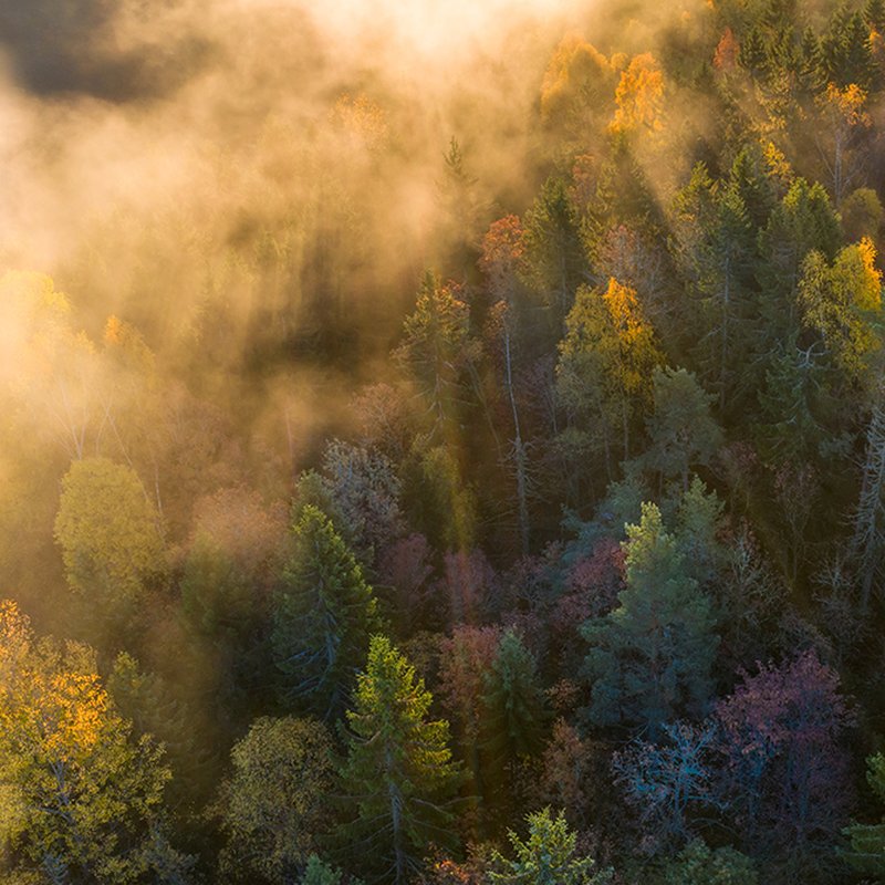 Norrländsk noir – 11 boktips för suggestiv läsning