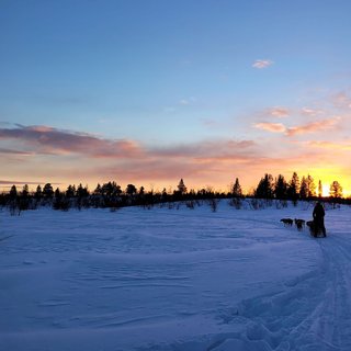 Husky Dreams kvällstur