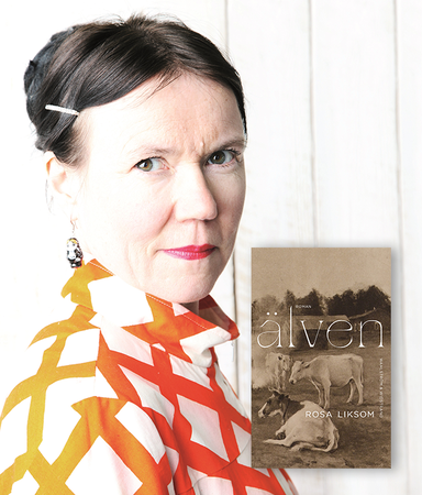 Rosa Liksom: ”Älven är en roman som andas lugnt”