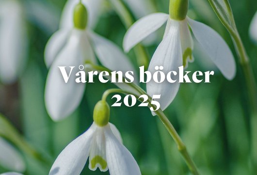 Vårens böcker 2025  