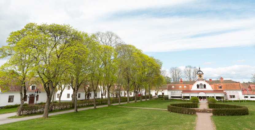 Foto: Cornelia Jönsson