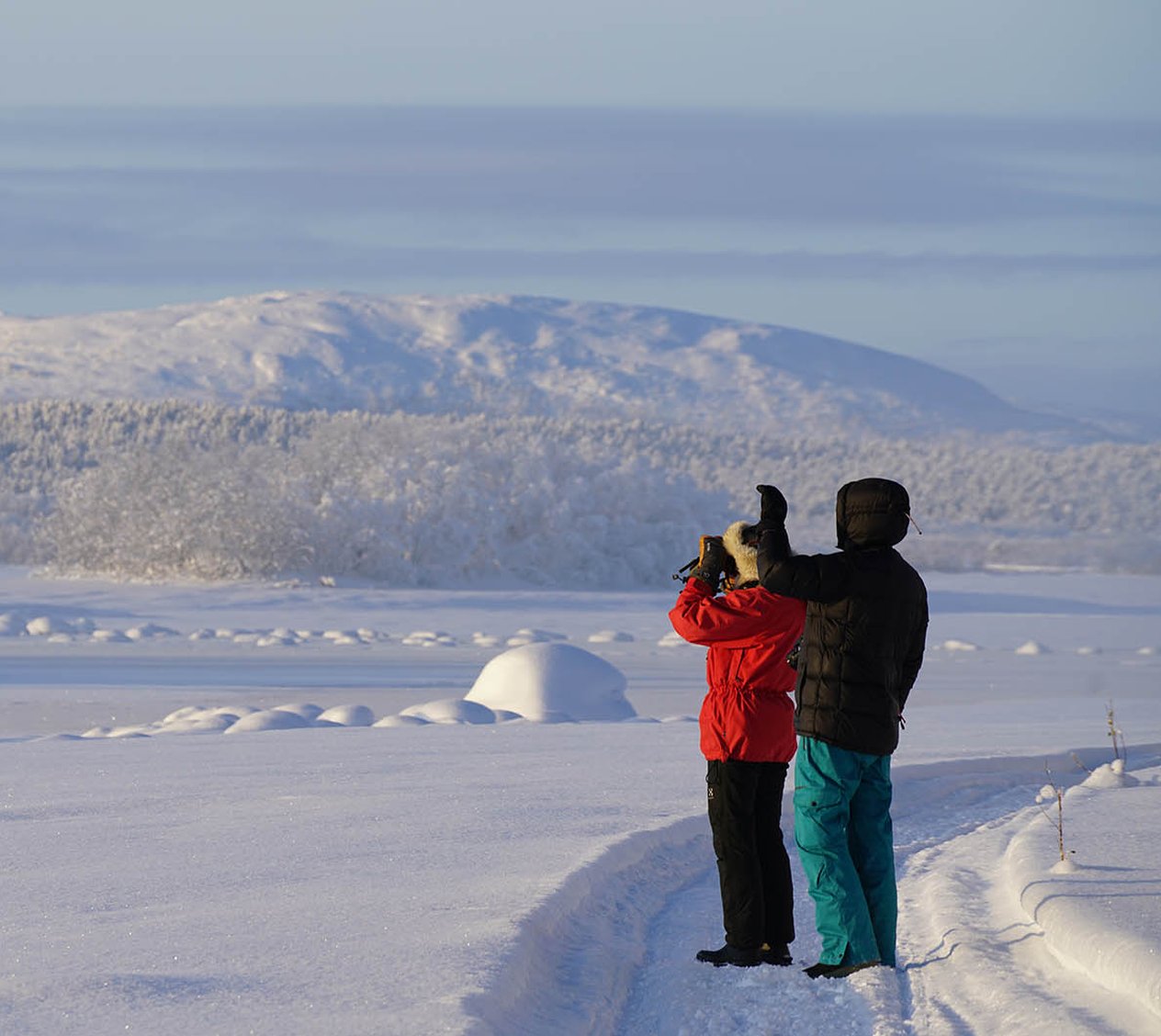 Ecotours djur- och naturtur