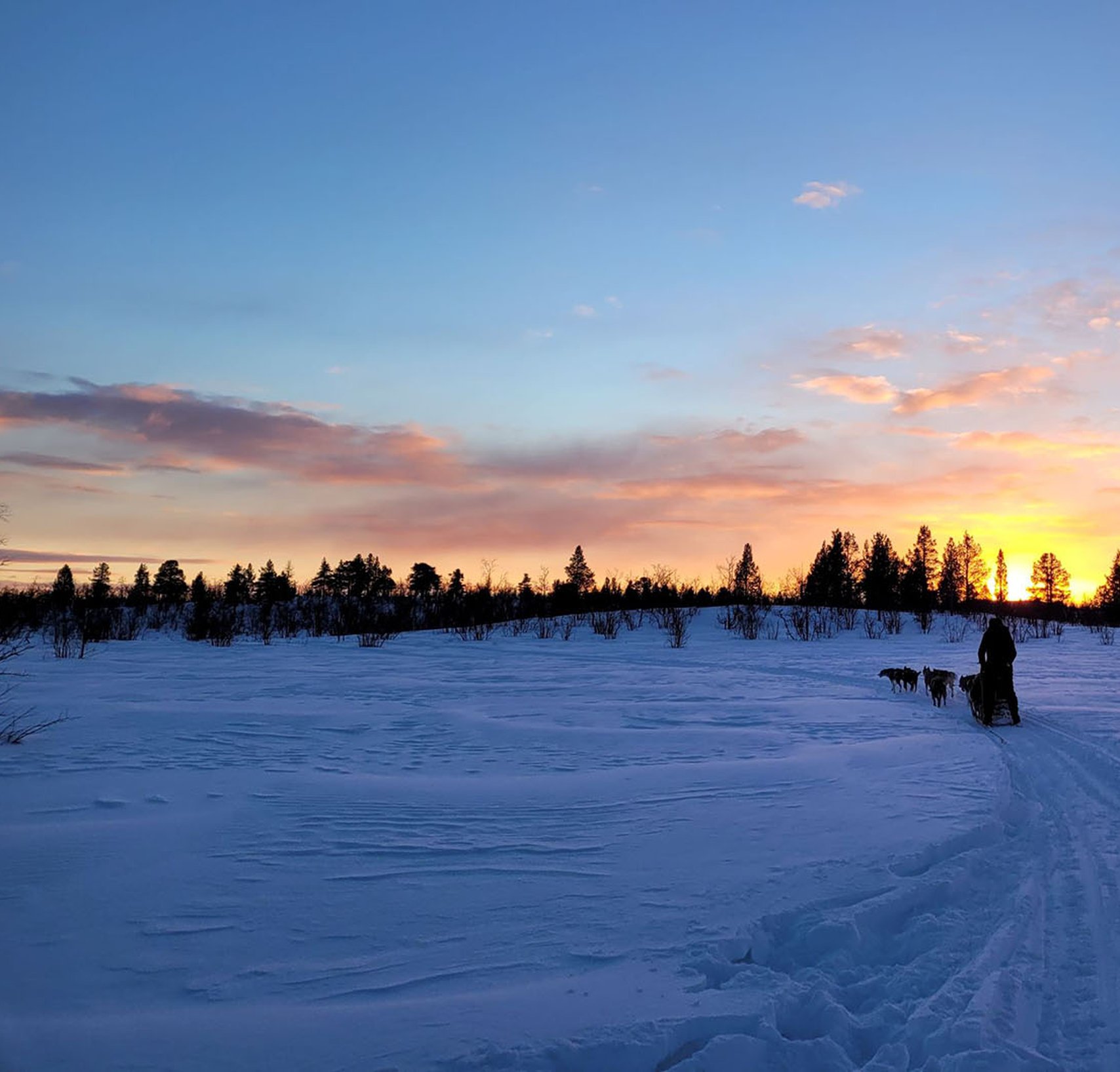 Husky Dreams kvällstur