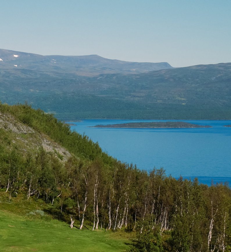 green på golfbanan med Torneträsk i bakgrunden