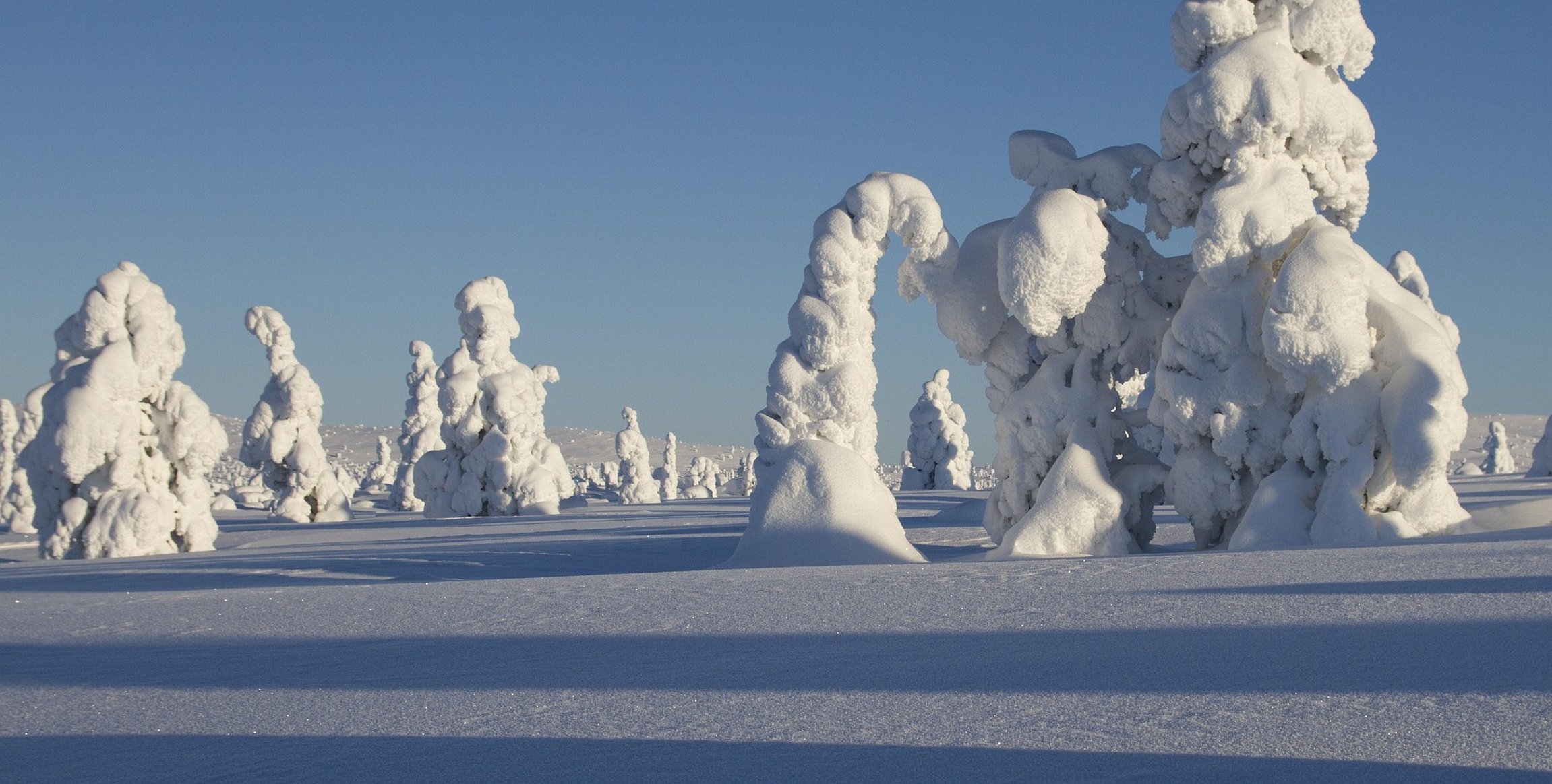 Vintern kan vara förtrollande vacker, men även otroligt kall