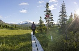 Miljonstöd till besöksnäringen i Västerbotten