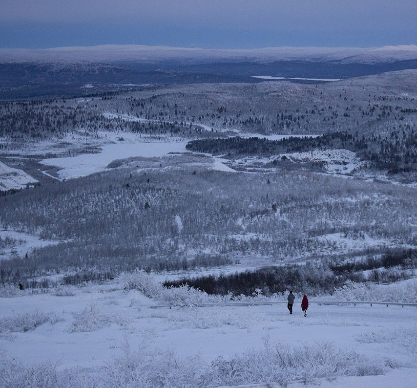 Det blå ljuset under polarnatten i Kiruna