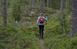 Samarbete ska lyfta Sverige som vandringsdestination