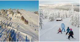 Norrvikens trädgårdar kan vinna Stora Turismpriset