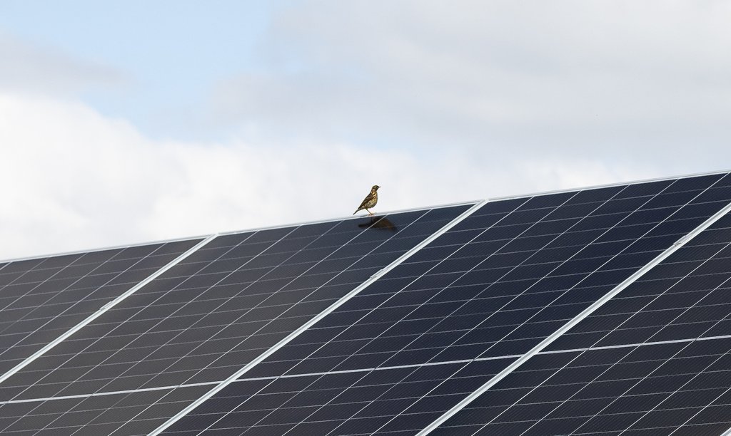 IMG_4406-Enhanced-NR - Sunna Aneo Invigning (2048px) by Sofia Lewerin copy