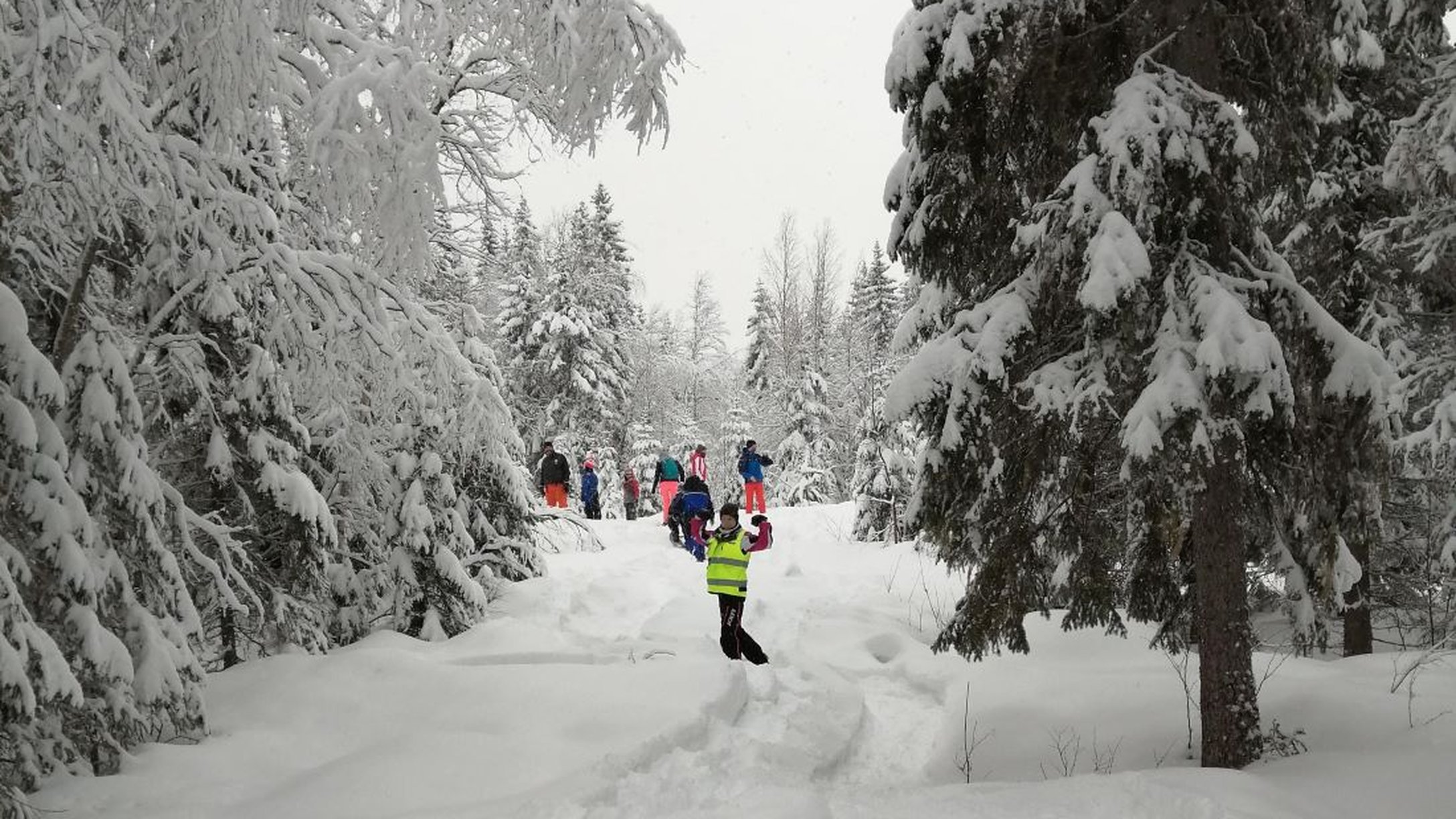 Snowshoe hike in the Kukkola forest