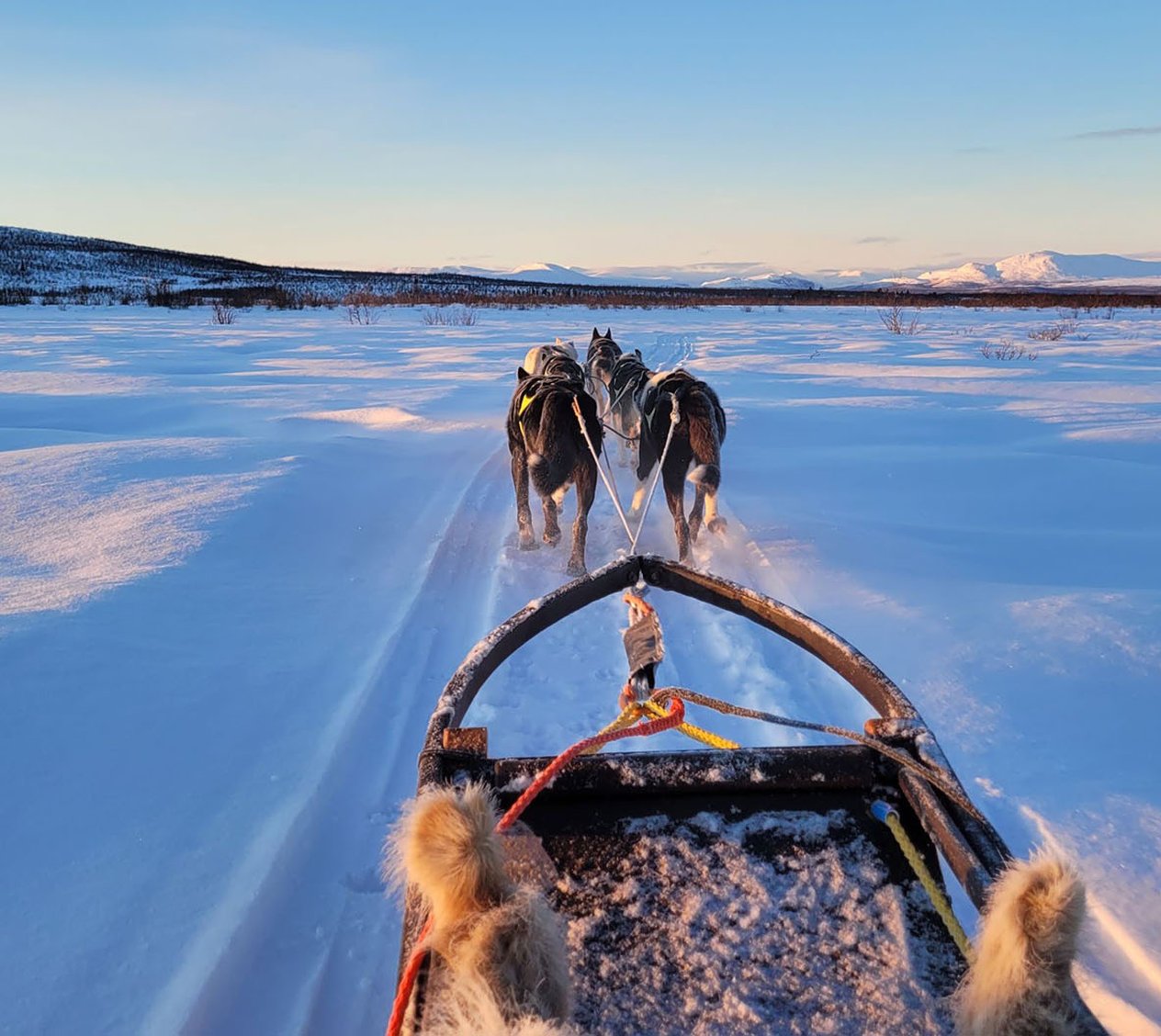 Husky dreams lunchtur