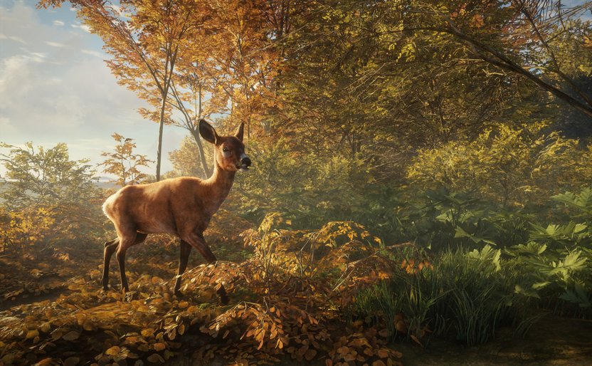 theHunter: Call of the Wild's New Reserve Arrives Today on Xbox One - Xbox  Wire