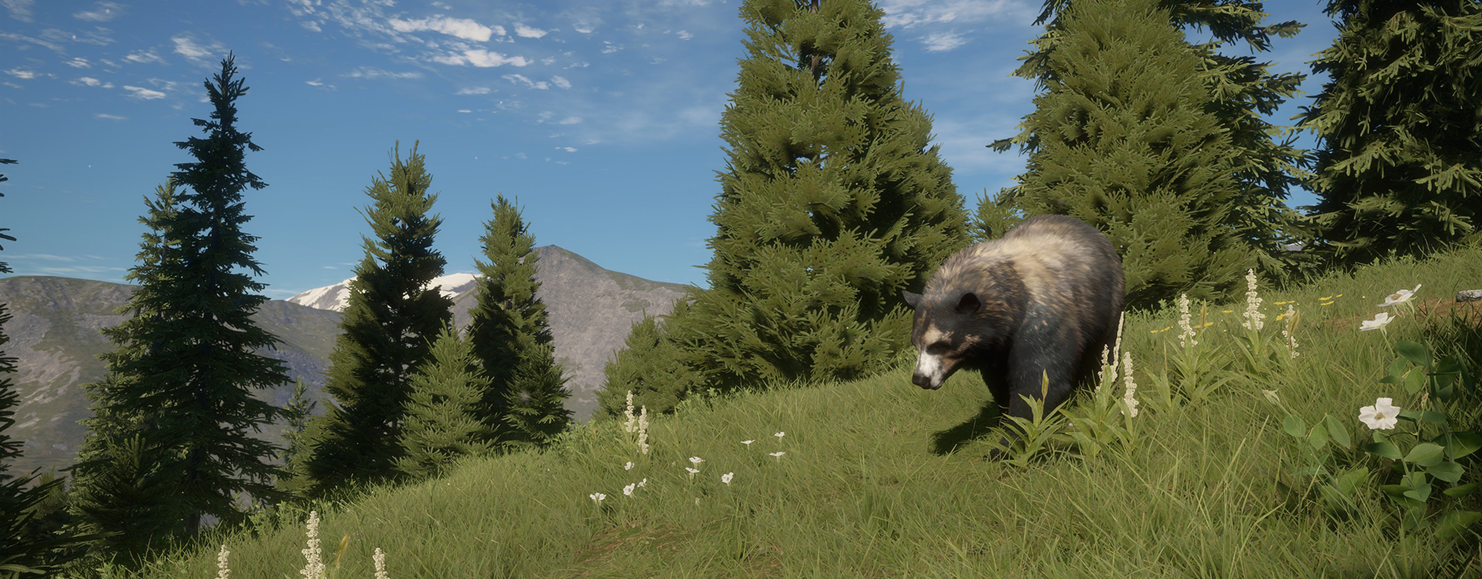 Screenshot of the Fabled Glacier Black Bear Great One roaming the hills of Silver Ridge Peaks Reserve.