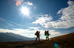 Momsen på naturturism kan återställas