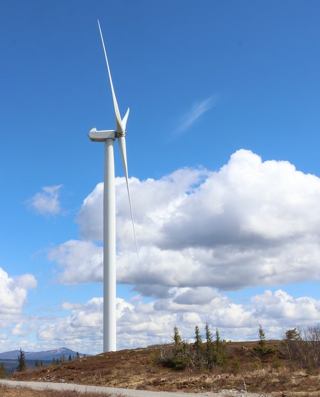 Renewable power, Flower, PPA, Green Baseload