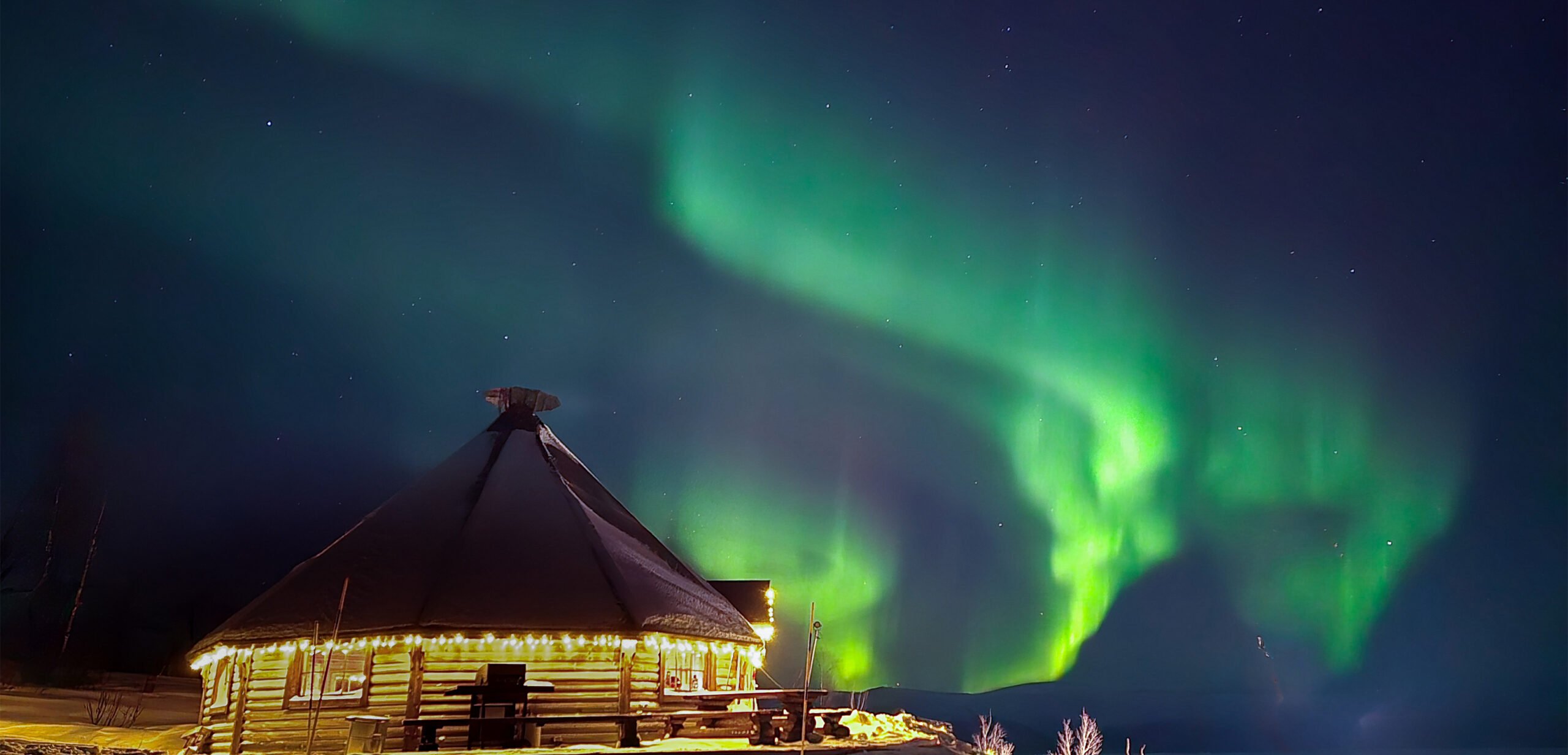 Rakkask&aring;tan under norrsken