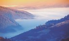 The Carpathian Mountains rising above the clouds at sunrise in Ukraine.