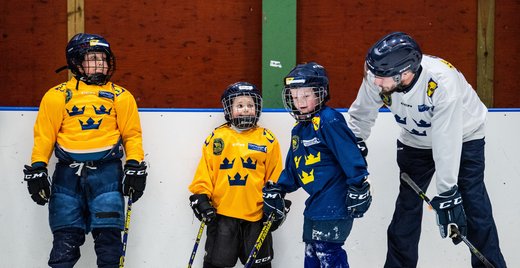 Introduktion för dig som är tränare inom ishockeyn