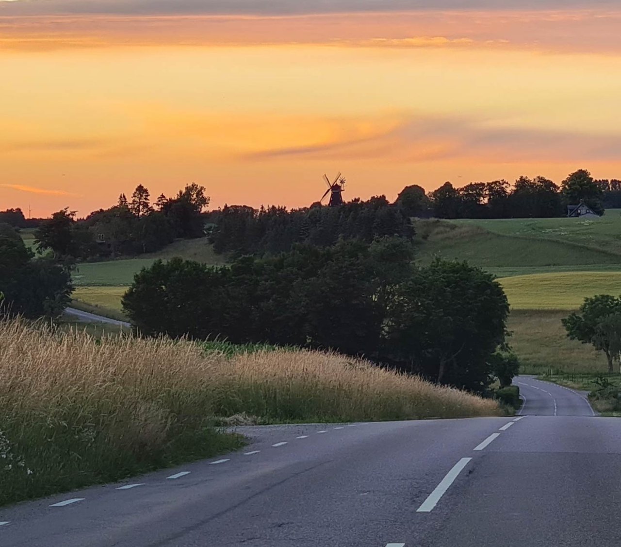 Foto: Christina Snöbohm / WWF