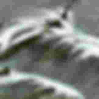 A lifeboat rescuing passengers from the ship Alarm in the 1860s.