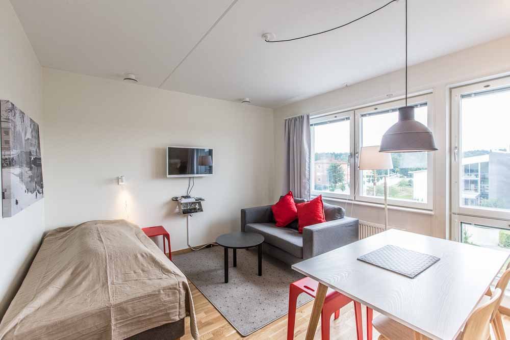 Apartment with bed, couch, coffee table, table and chairs.