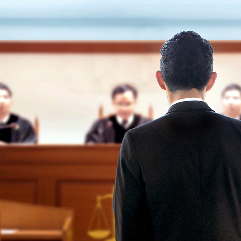 I rättvisans tjänst – 8 advokater i litteraturen