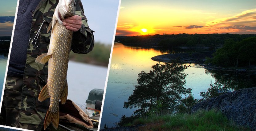 Många internationella gäster nappar på fisketurism. Och med det höjs kraven på boende. 